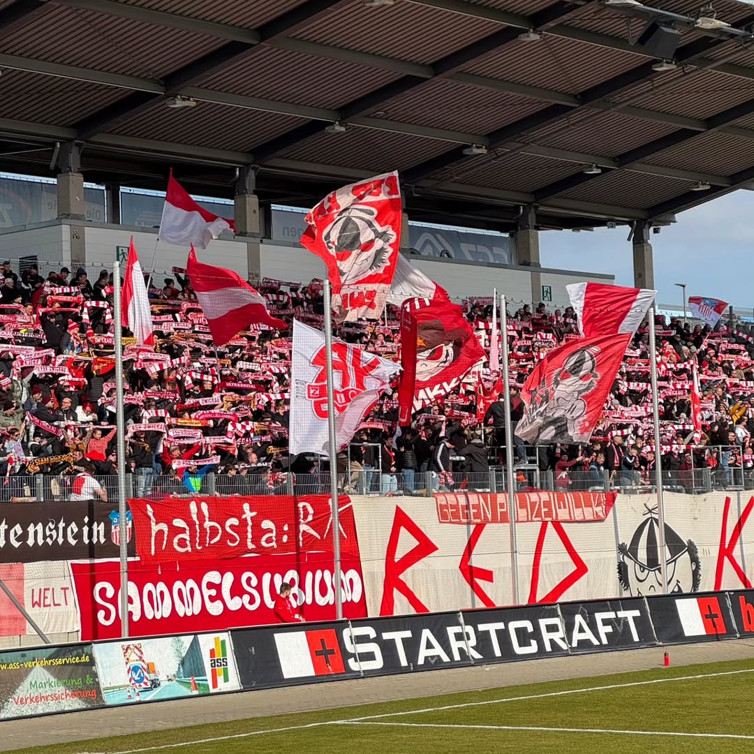 FSV Zwickau – Viktoria Berlin 1-0 (4)