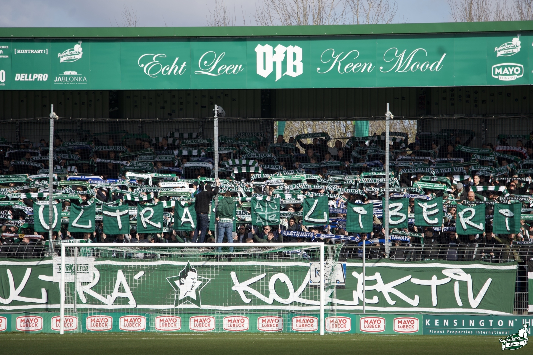 VfB Lübeck – SV Meppen 1-0 (1)