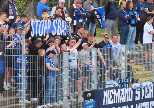 SV Eintracht Trier 05 – FSV Frankfurt 3-3