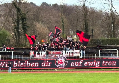 SpVgg Erkenschwick – SV Lippstadt 08 0-1
