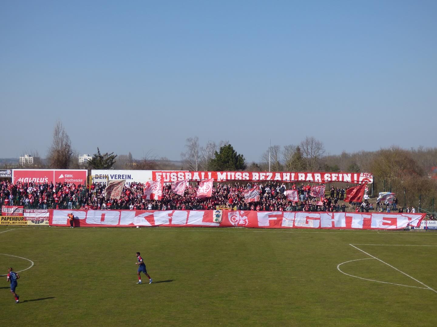 VfL Halle 96 – Hallescher FC 0-2 (6)