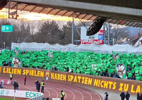 SSV Ulm 1846 – SV Darmstadt 98 2-1 (5)