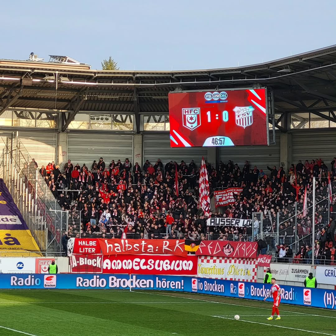 Hallescher FC – FSV Zwickau 2-0 (1)