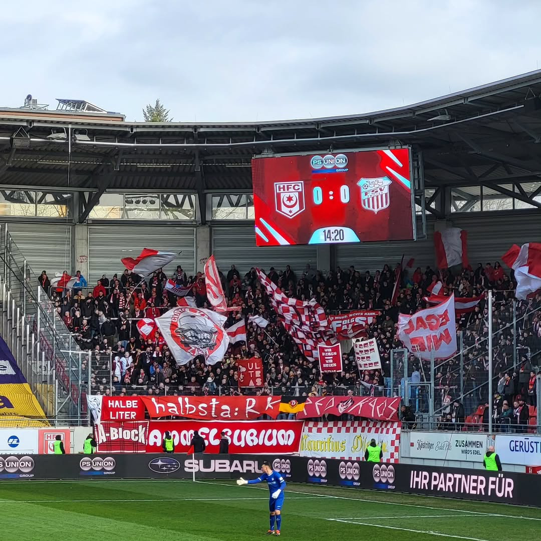 Hallescher FC – FSV Zwickau 2-0 (3)