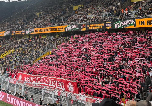 Borussia Dortmund – 1. FSV Mainz 05 3-1 (8)