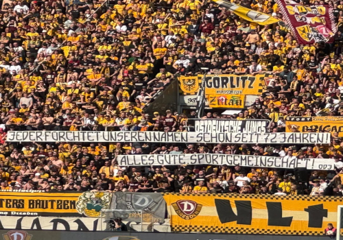 Dynamo Dresden – VfL Osnabrück 0-1 (5)