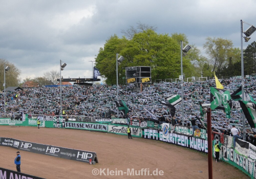 SC Preußen Münster – Karlsruher SC 1-1 (5)