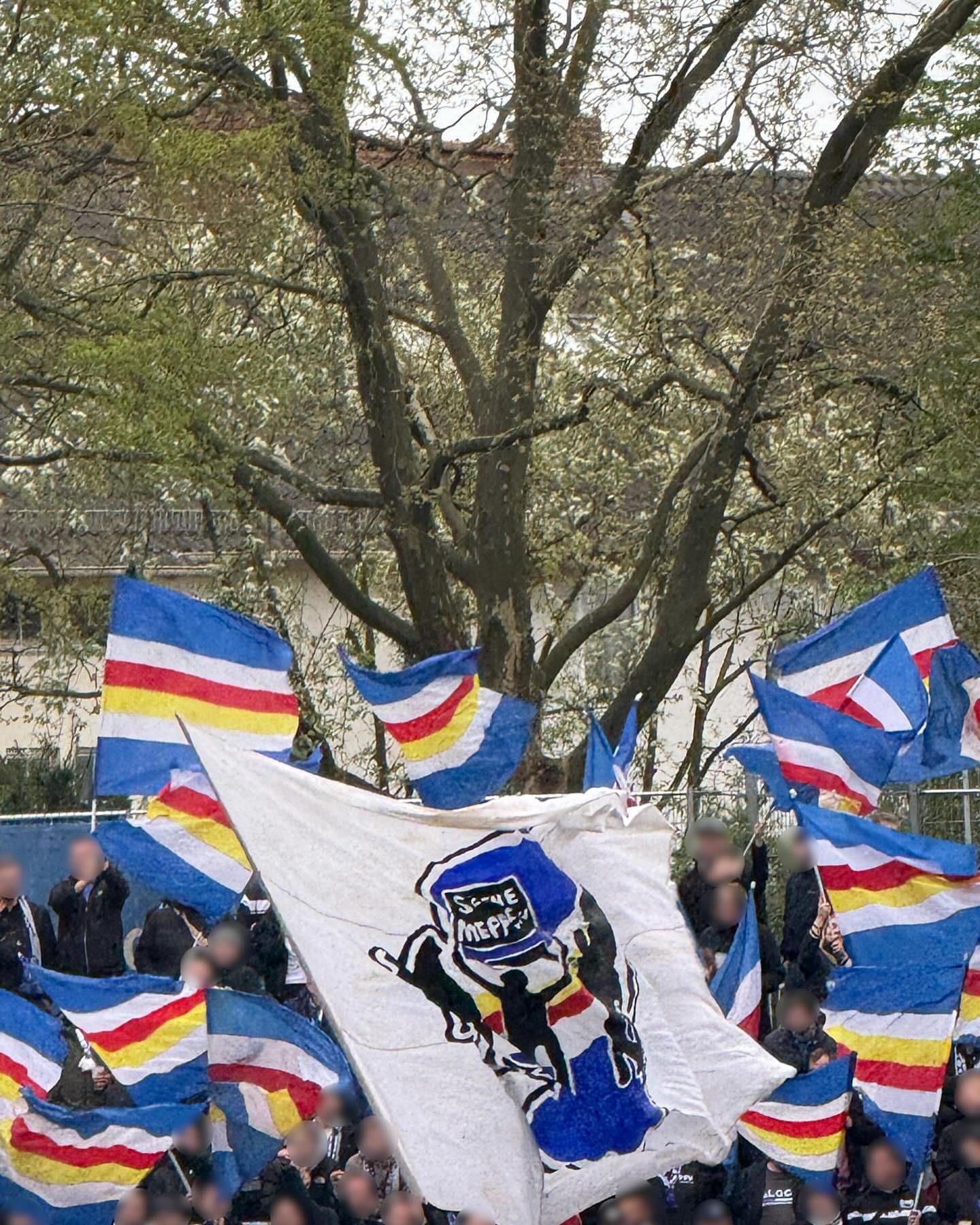 Bremer SV – SV Meppen 2-5 (3)