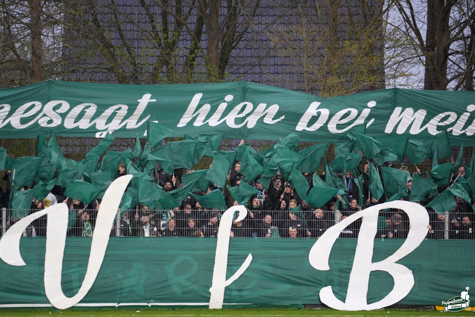 Weiche Flensburg – VfB Lübeck 1-1 (3)
