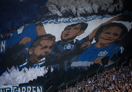 FC Schalke 04 – Hamburger SV 2-2 (5)