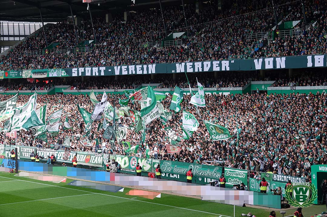 Heimfans | Werder Bremen – VfL Bochum (19.04.2025) 1-0