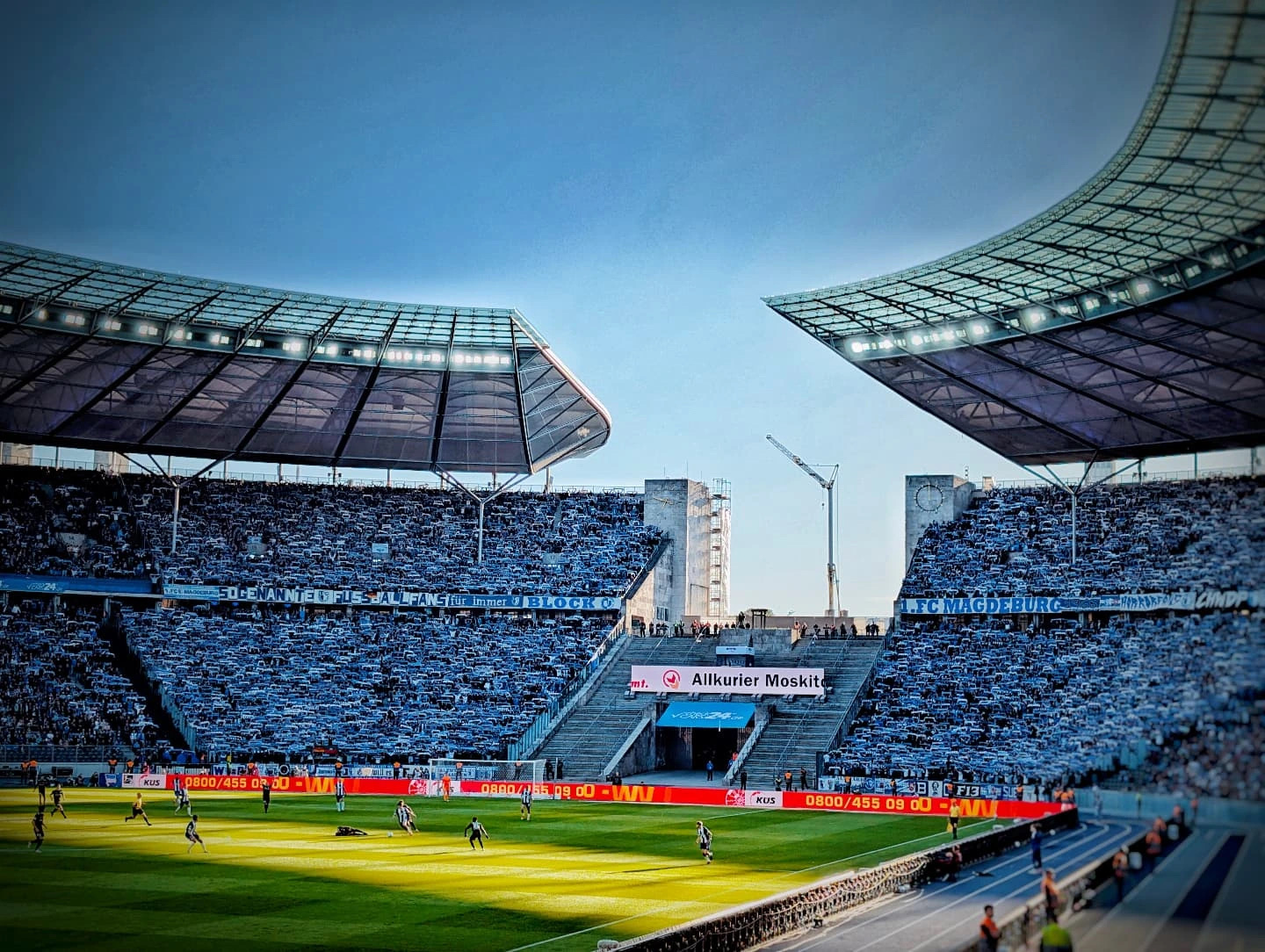 Hertha BSC – 1. FC Magdeburg 1-1 (4)