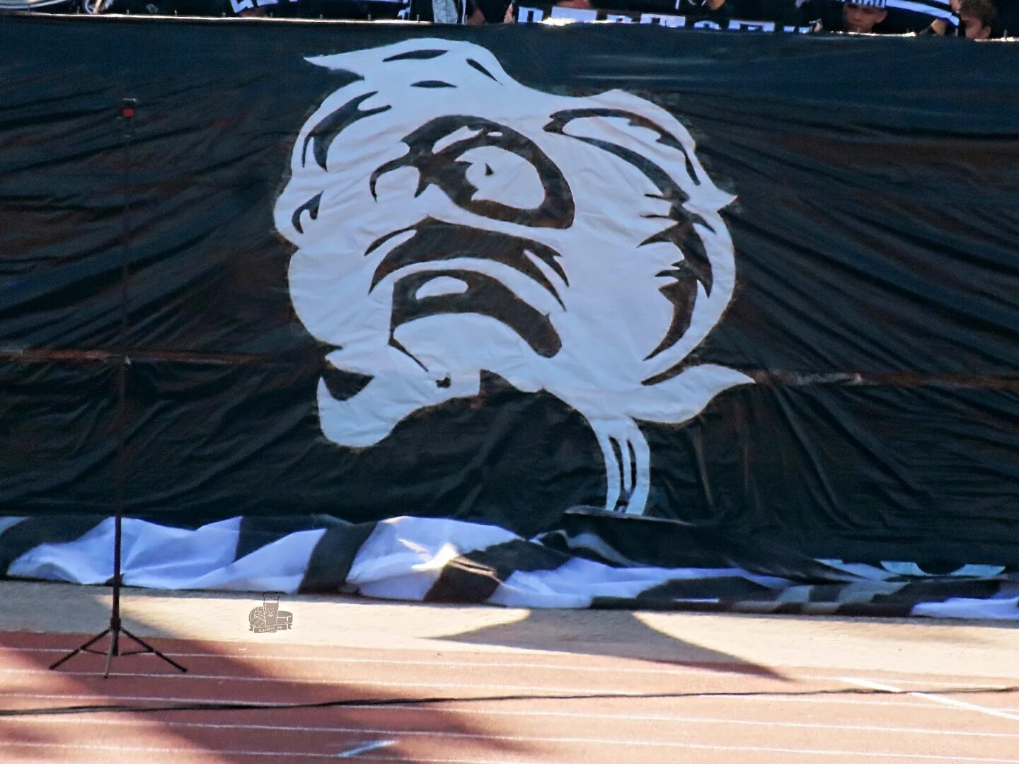 SSV Ulm 1846 – 1. FC Köln 0-1 (2)