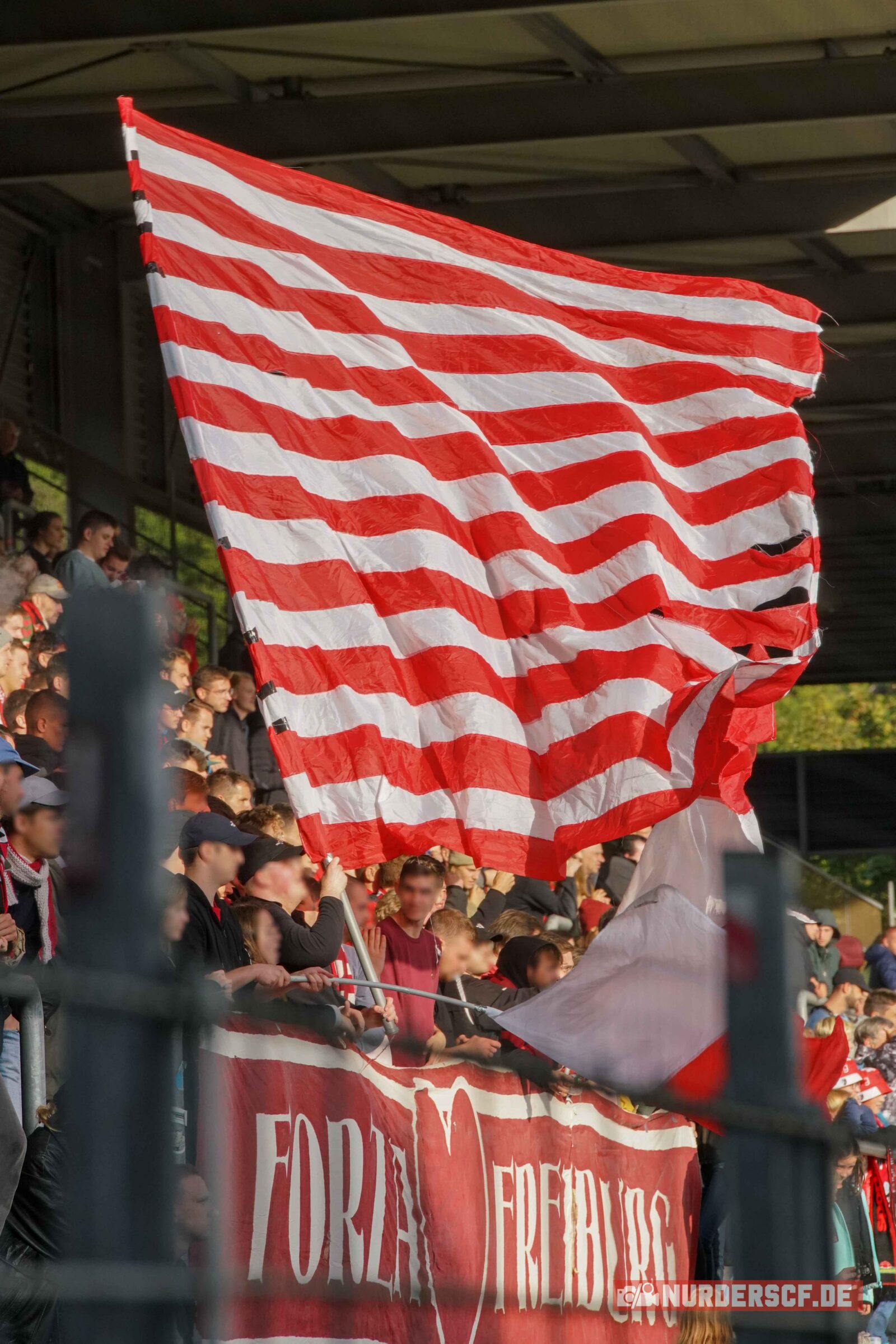 SC Freiburg Frauen – Eintracht Frankfurt Frauen 2-4 (11)