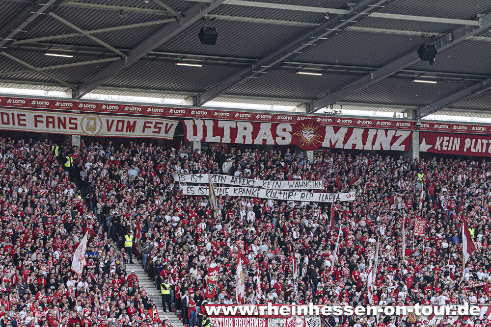 1. FSV Mainz 05 – VfL Wolfsburg 2-2