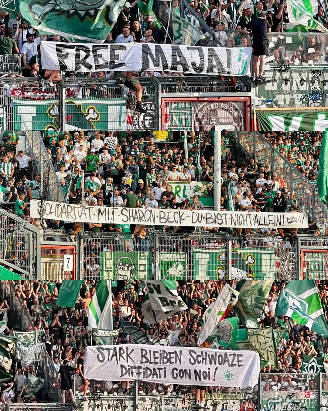 FC Energie Cottbus – Werder Bremen (30)