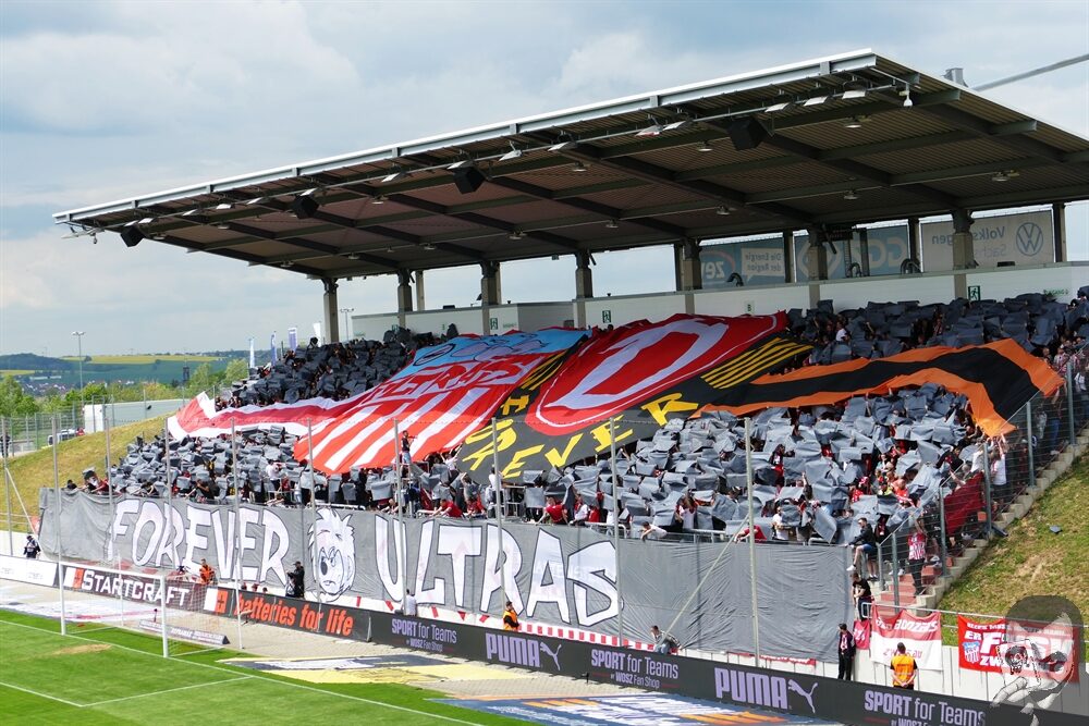 FSV Zwickau – Dynamo Dresden 0-1 (3)
