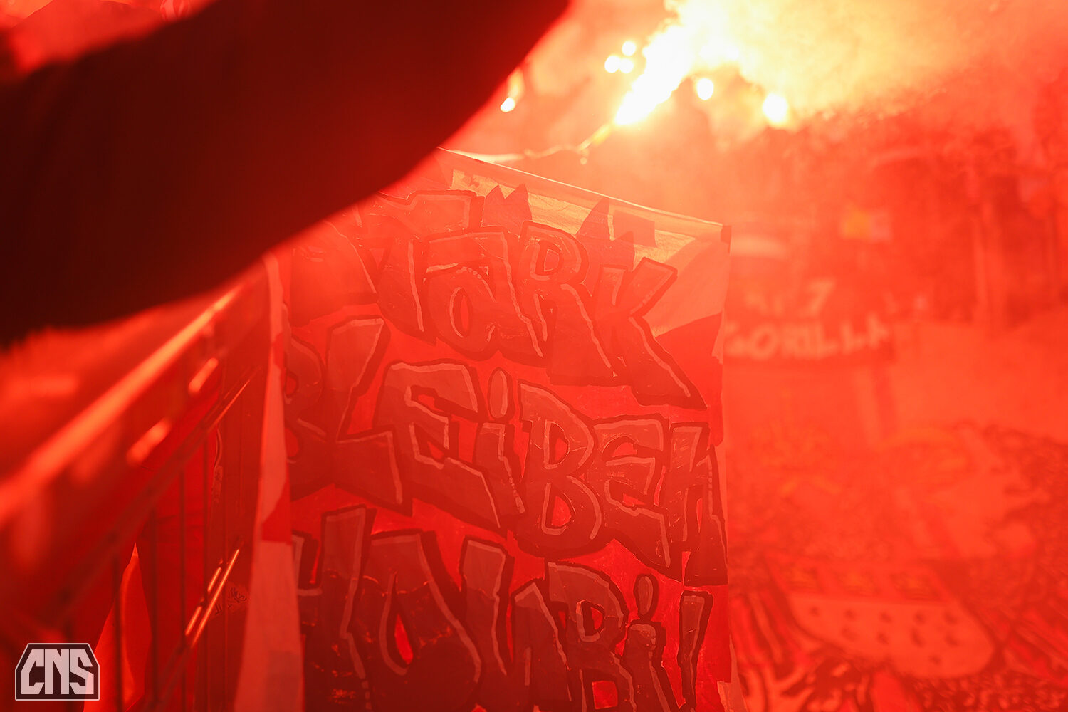 TSG Hoffenheim – 1. FC Köln 1-1 (24)