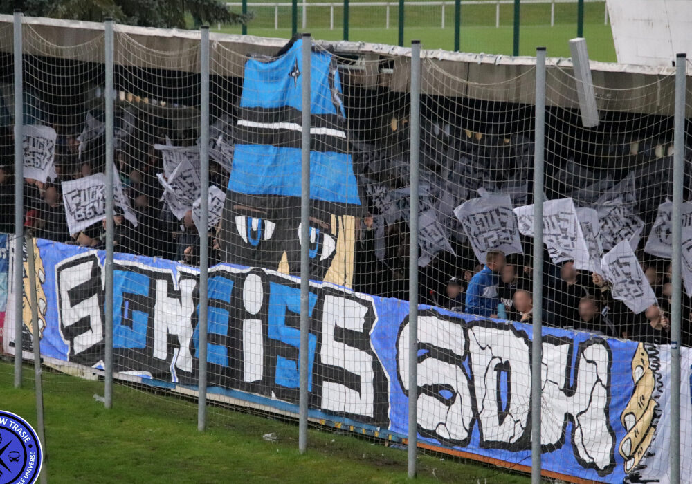 FSV Wacker 90 Nordhausen – BSV Eintracht Sondershausen 3-1 (10)