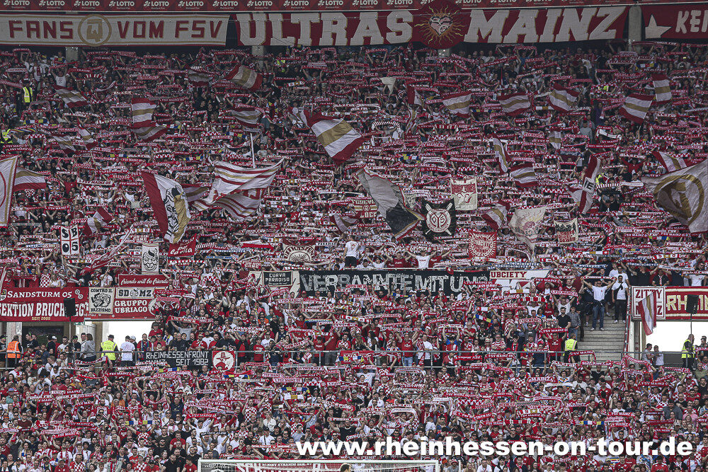 1. FSV Mainz 05 – TSG Hoffenheim 4-1 (2)