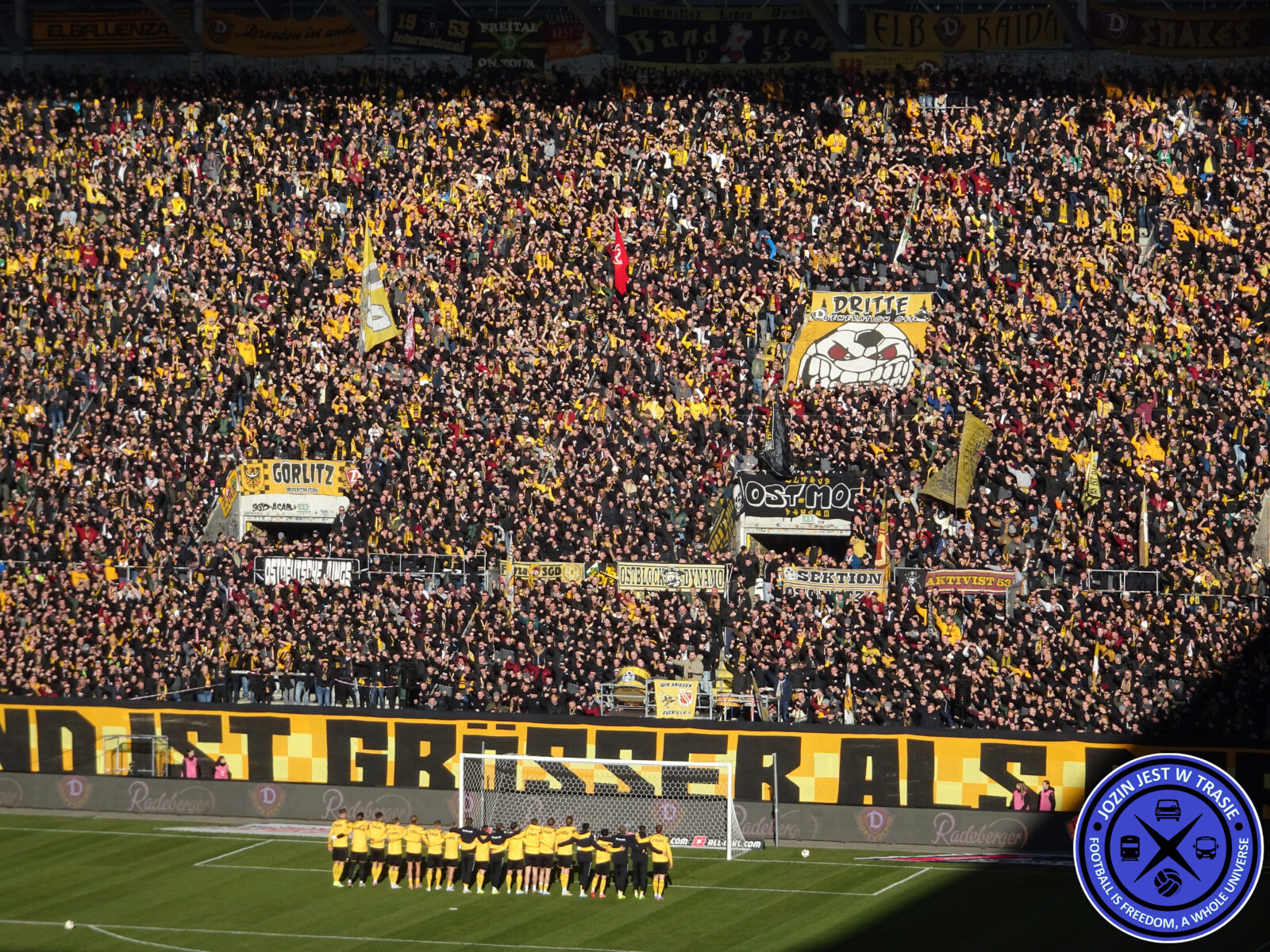 Dynamo Dresden – Viktoria Köln 2-3 (9)