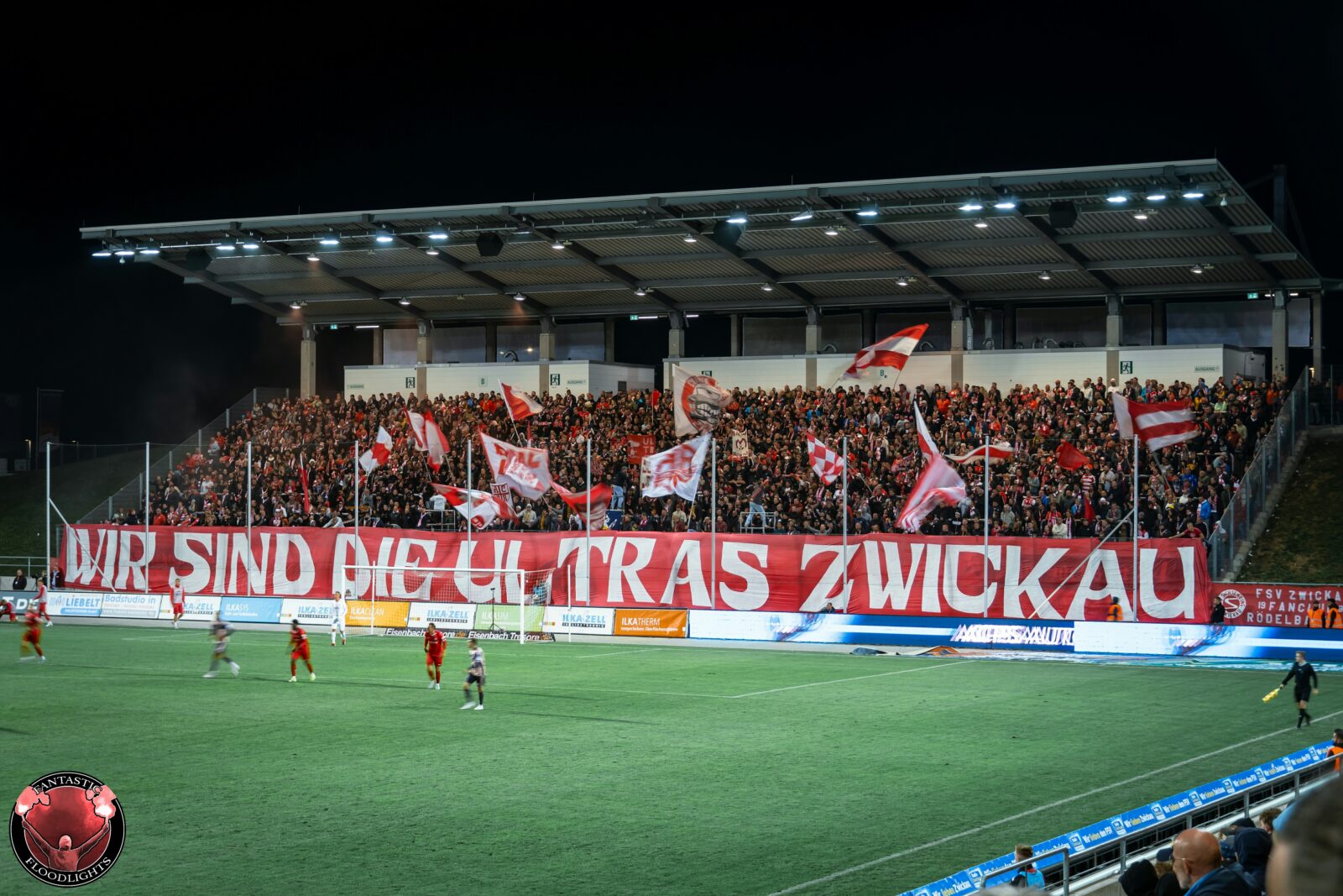 FSV Zwickau – Hallescher FC 1-0 (13)