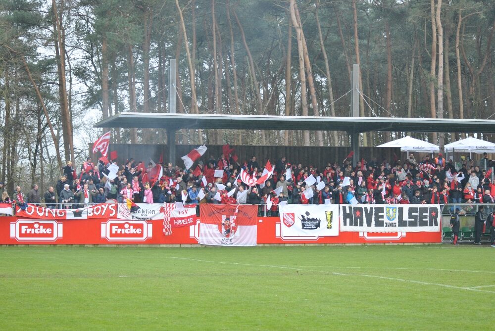 TuS Heeslingen vs TSV Havelse (5-6n.E.) (3)