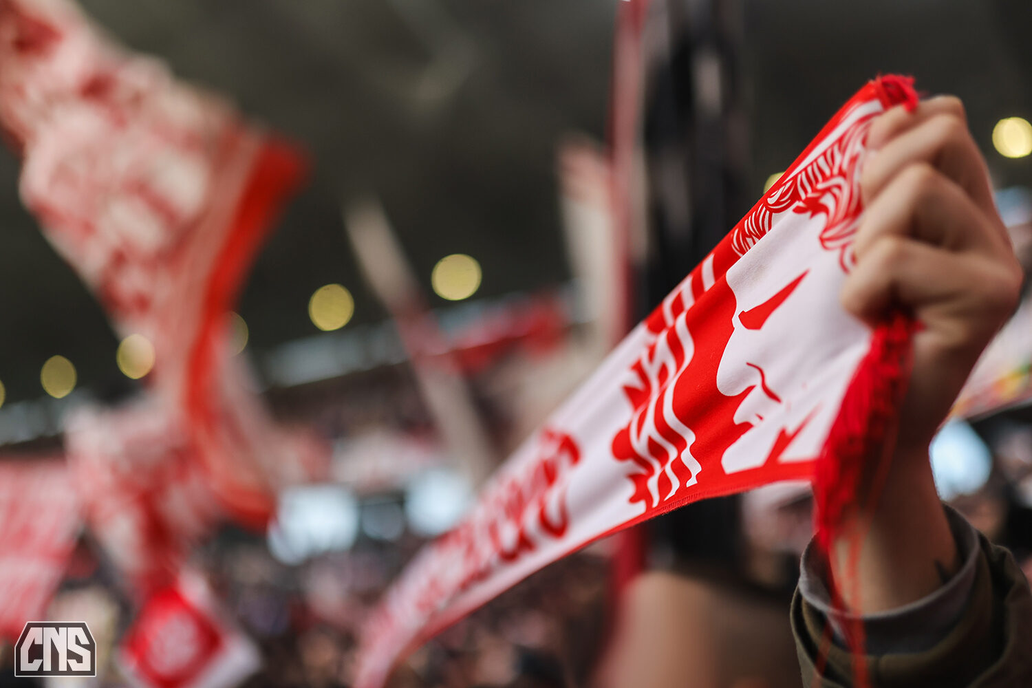 SC Freiburg – 1. FC Köln 2-0 (8)