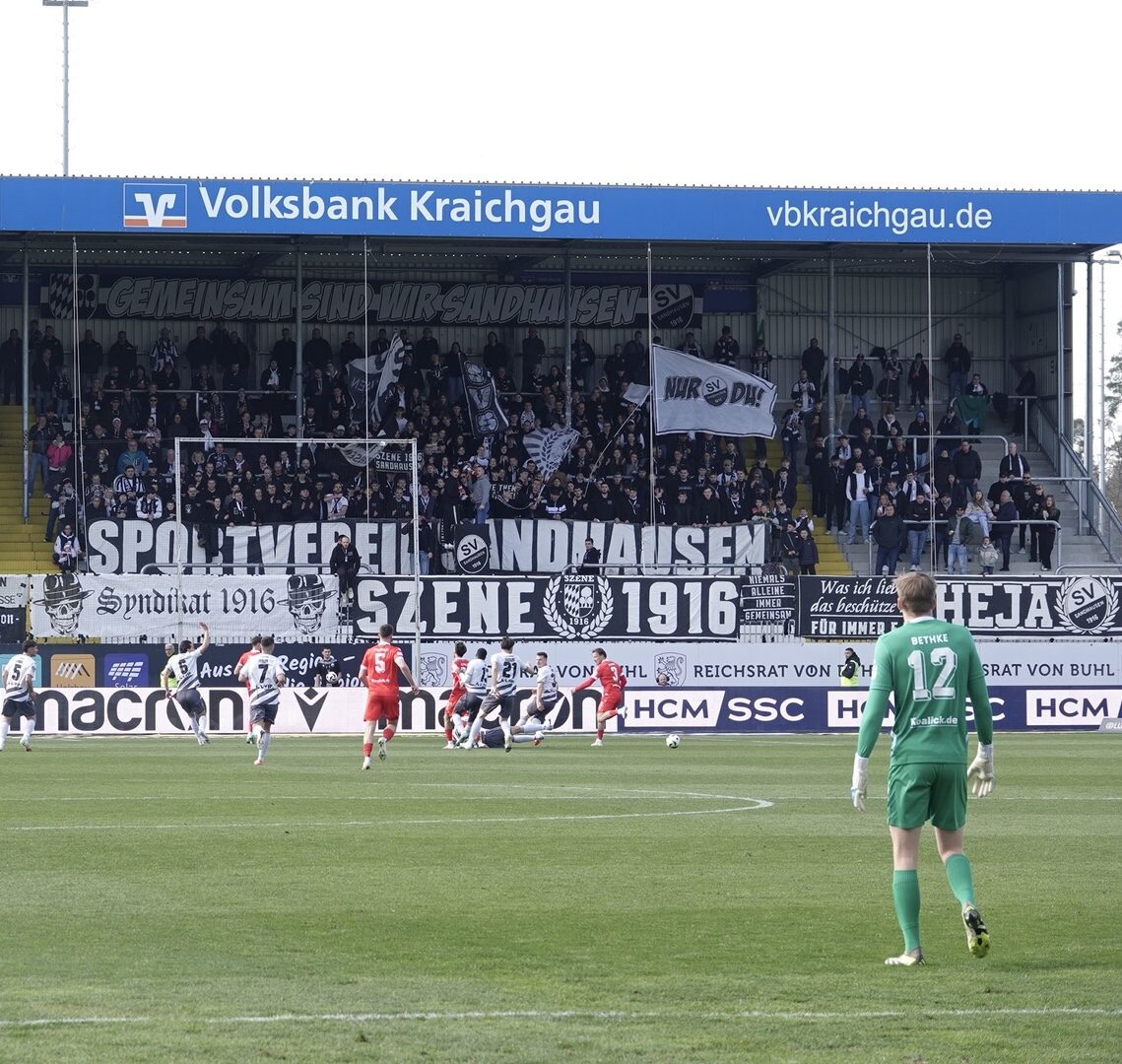 SV Sandhausen – FC Energie Cottbus 0-1 (1)