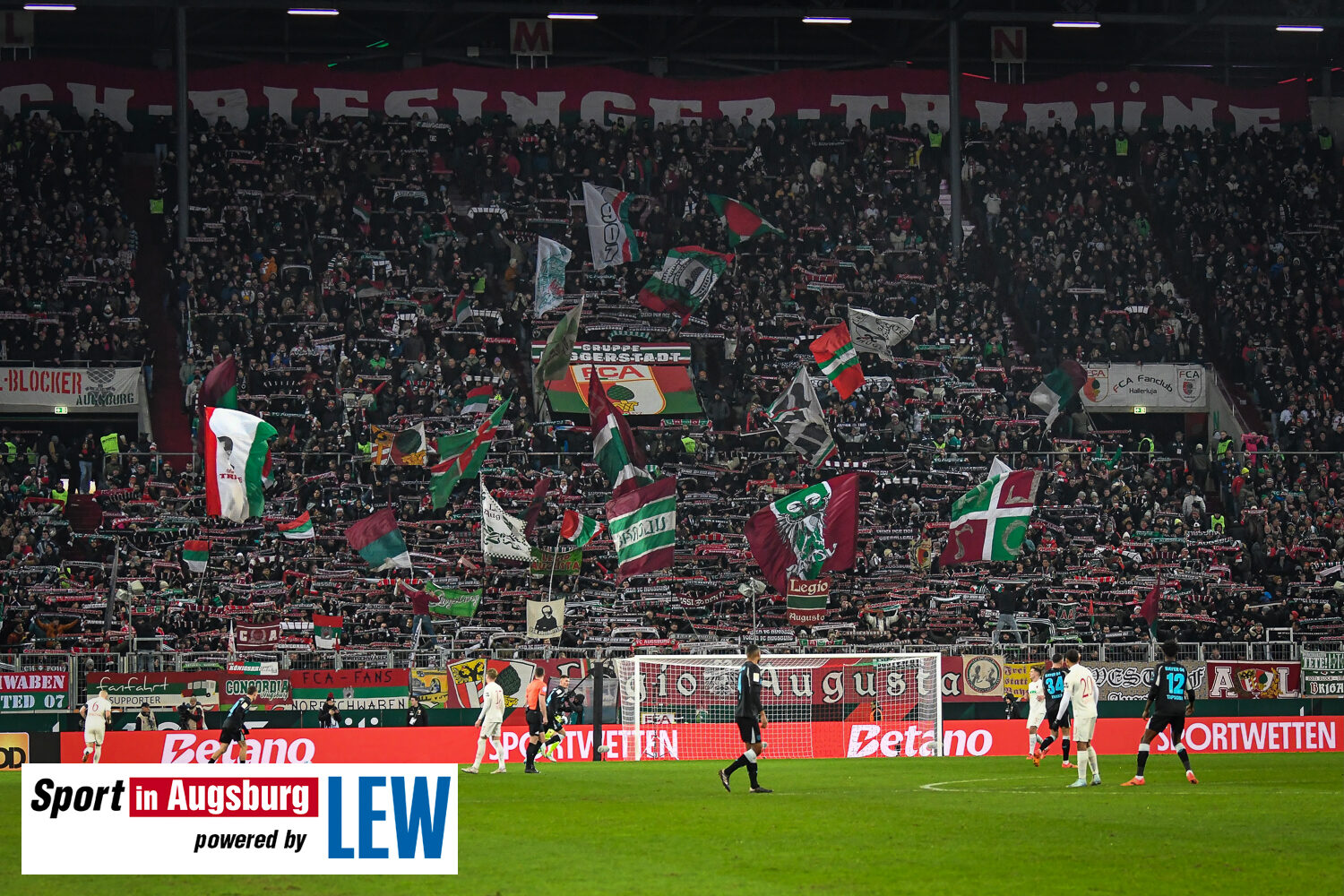 FC Augsburg – Bayer 04 Leverkusen 0-2 (5)