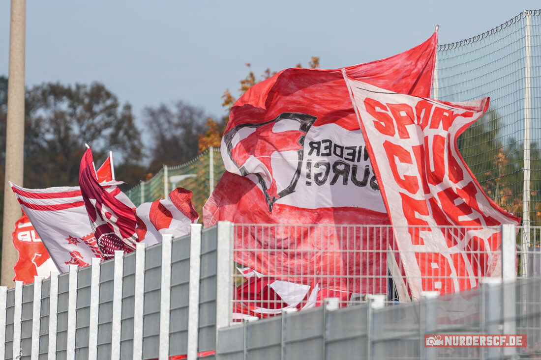 Göppinger SV – SC Freiburg II 1-0 (28)