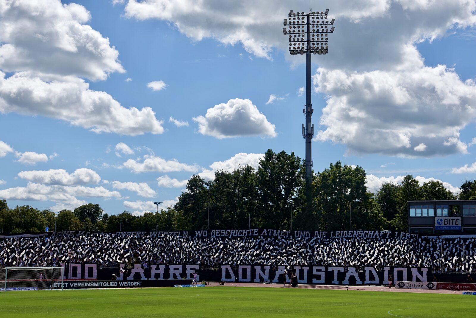 SSV Ulm 1846 – SV Waldhof Mannheim 1:2 (6)