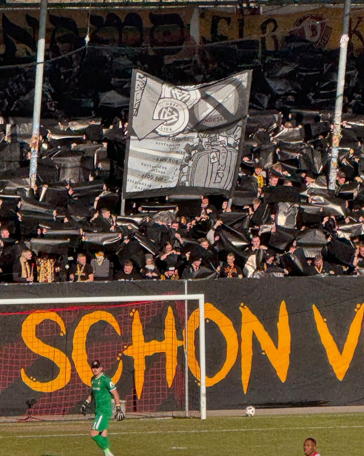 VfB Stuttgart ll – Dynamo Dresden 2-1 (1)