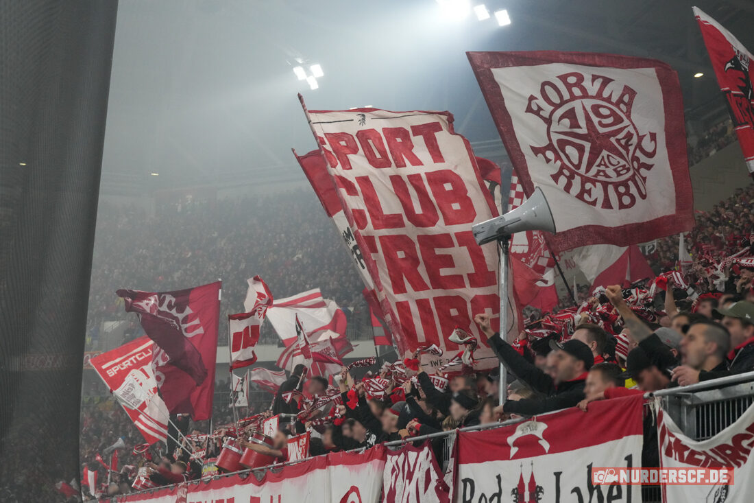 SC Freiburg – Hamburger SV 2-1 (25)