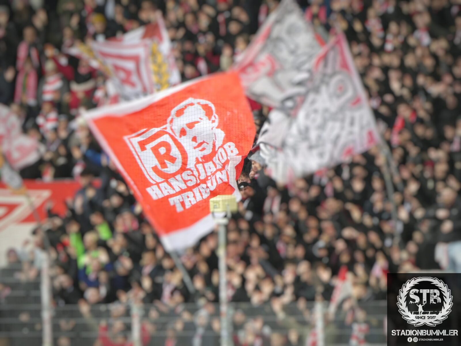 SSV Jahn Regensburg – 1. FC Magdeburg 0-1 (7)