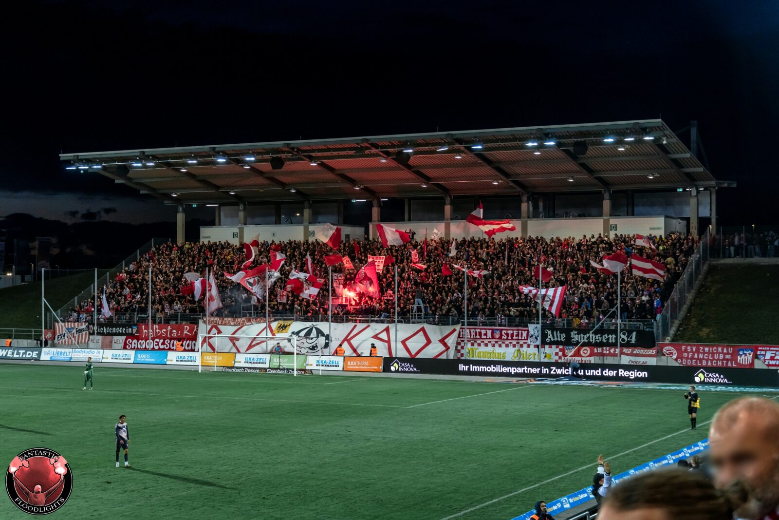 FSV Zwickau – Hallescher FC 1-0 (3)
