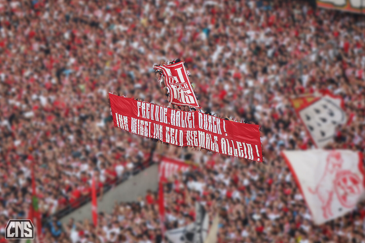 1. FC Köln – Hamburger SV 1-2 (28)