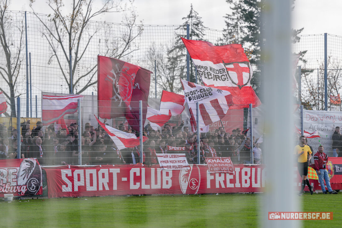 Göppinger SV – SC Freiburg II 1-0 (29)