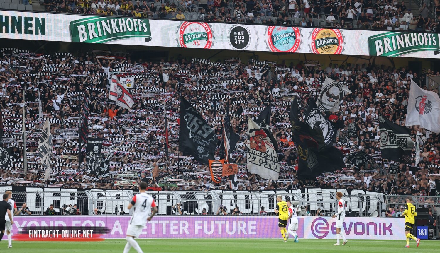 Borussia Dortmund – Eintracht Frankfurt 2-0 (22)