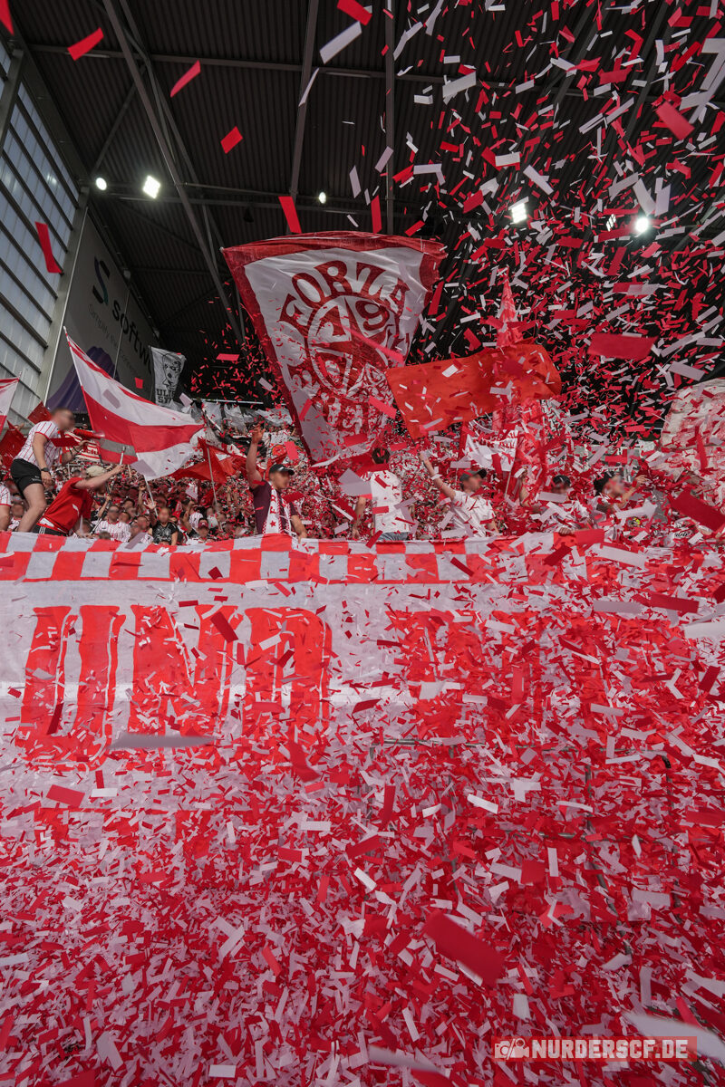 SV Darmstadt 98 – SC Freiburg 0-1 (48)