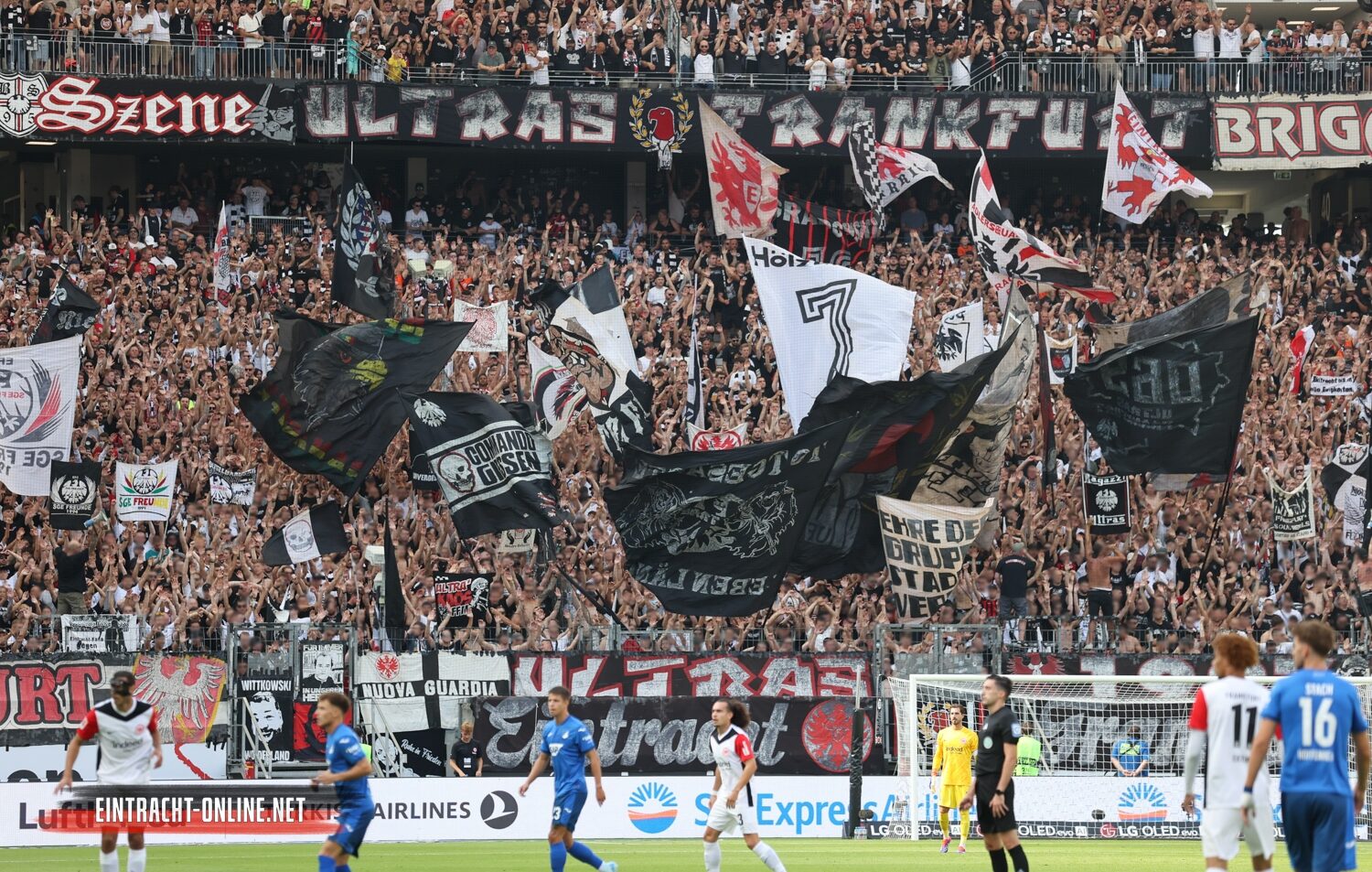 Eintracht Frankfurt – TSG Hoffenheim 3-1 (17)