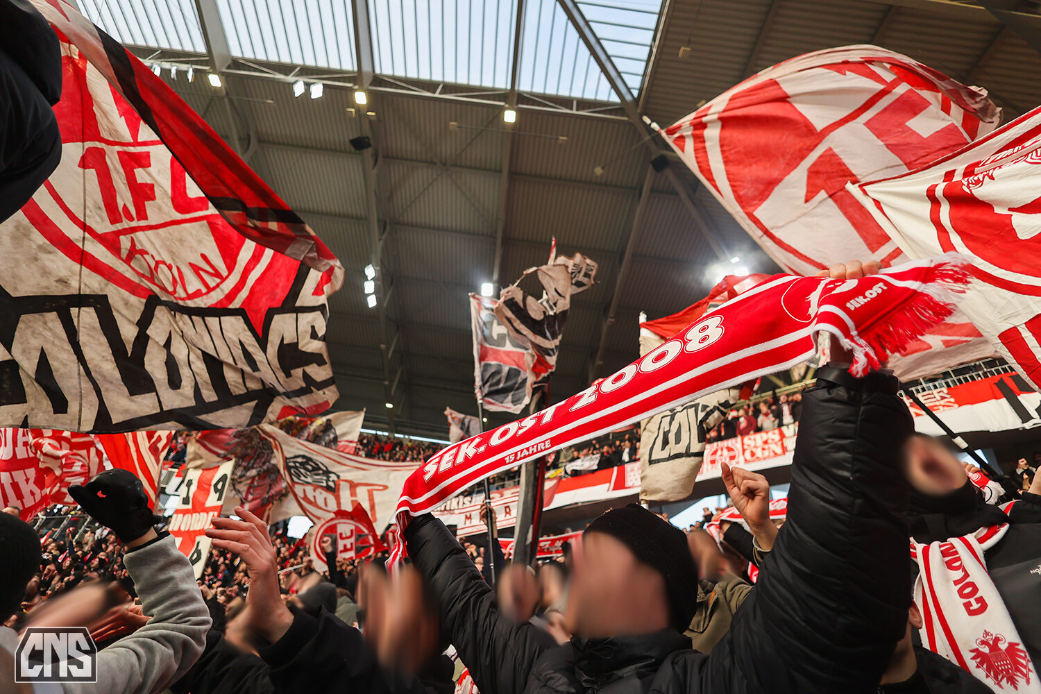 SC Freiburg – 1. FC Köln 2-0 (5)