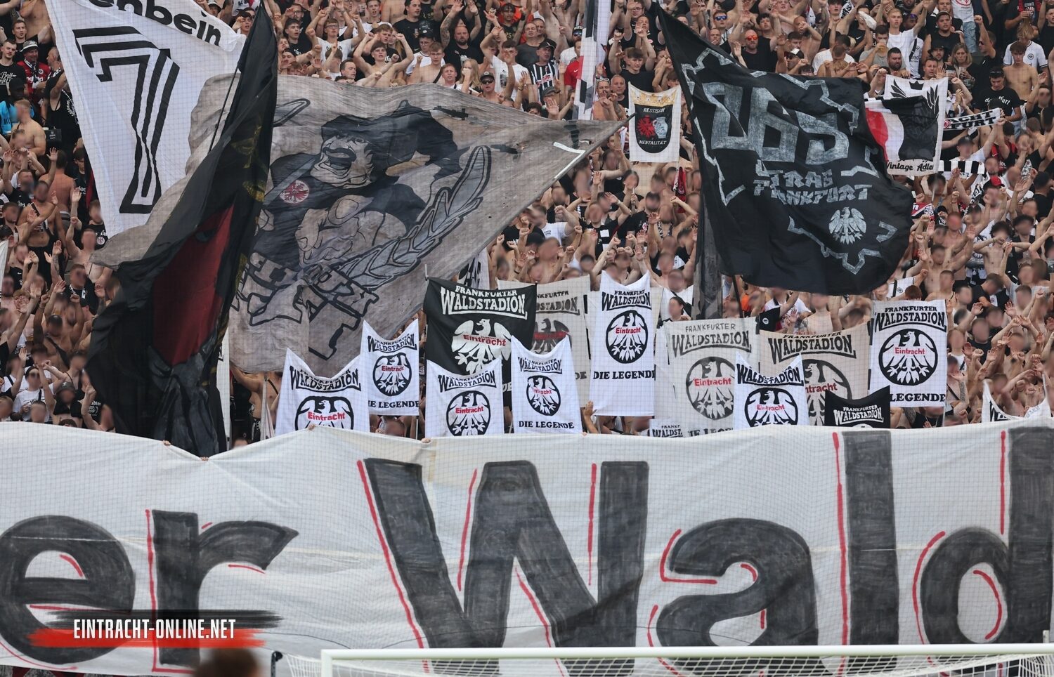 Eintracht Frankfurt – TSG Hoffenheim 3-1 (43)