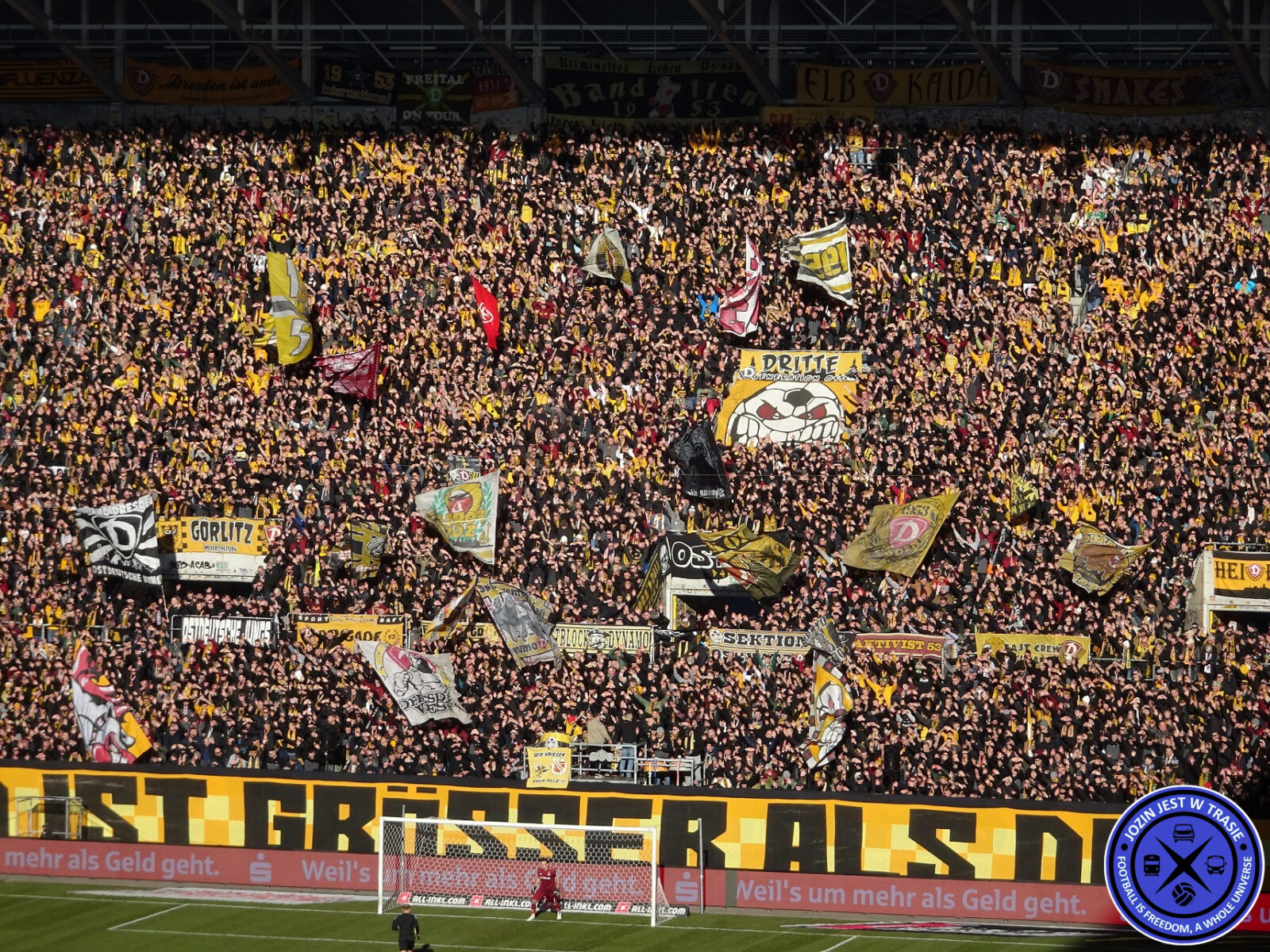 Dynamo Dresden – Viktoria Köln 2-3 (4)