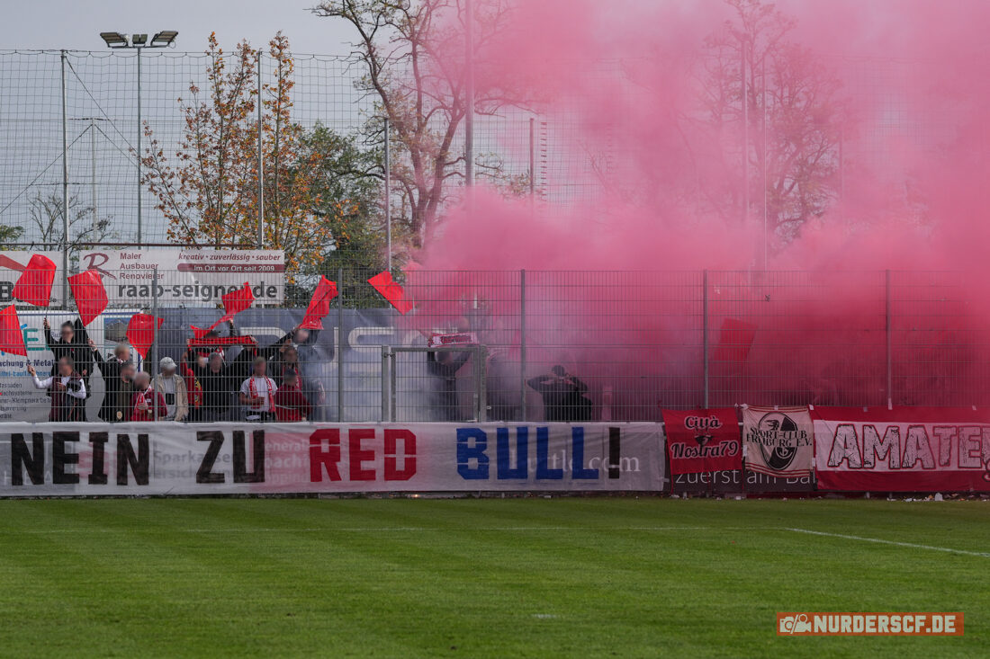 Göppinger SV – SC Freiburg II 1-0 (25)