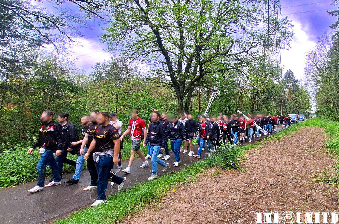 SV Sandhausen – FC Ingolstadt 1-1 (6)