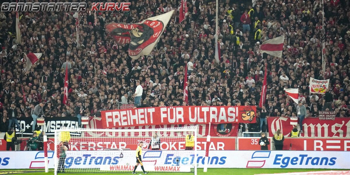 VfB Stuttgart – TSG Hoffenheim 1-1 (37)