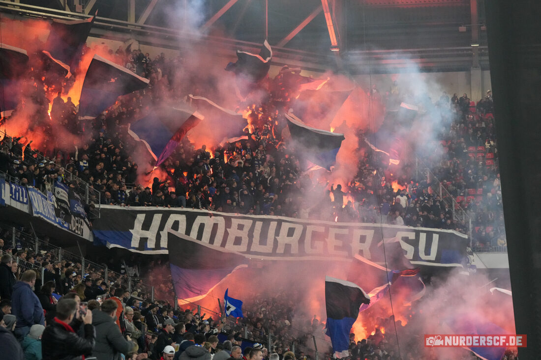 SC Freiburg – Hamburger SV 2-1 (7)