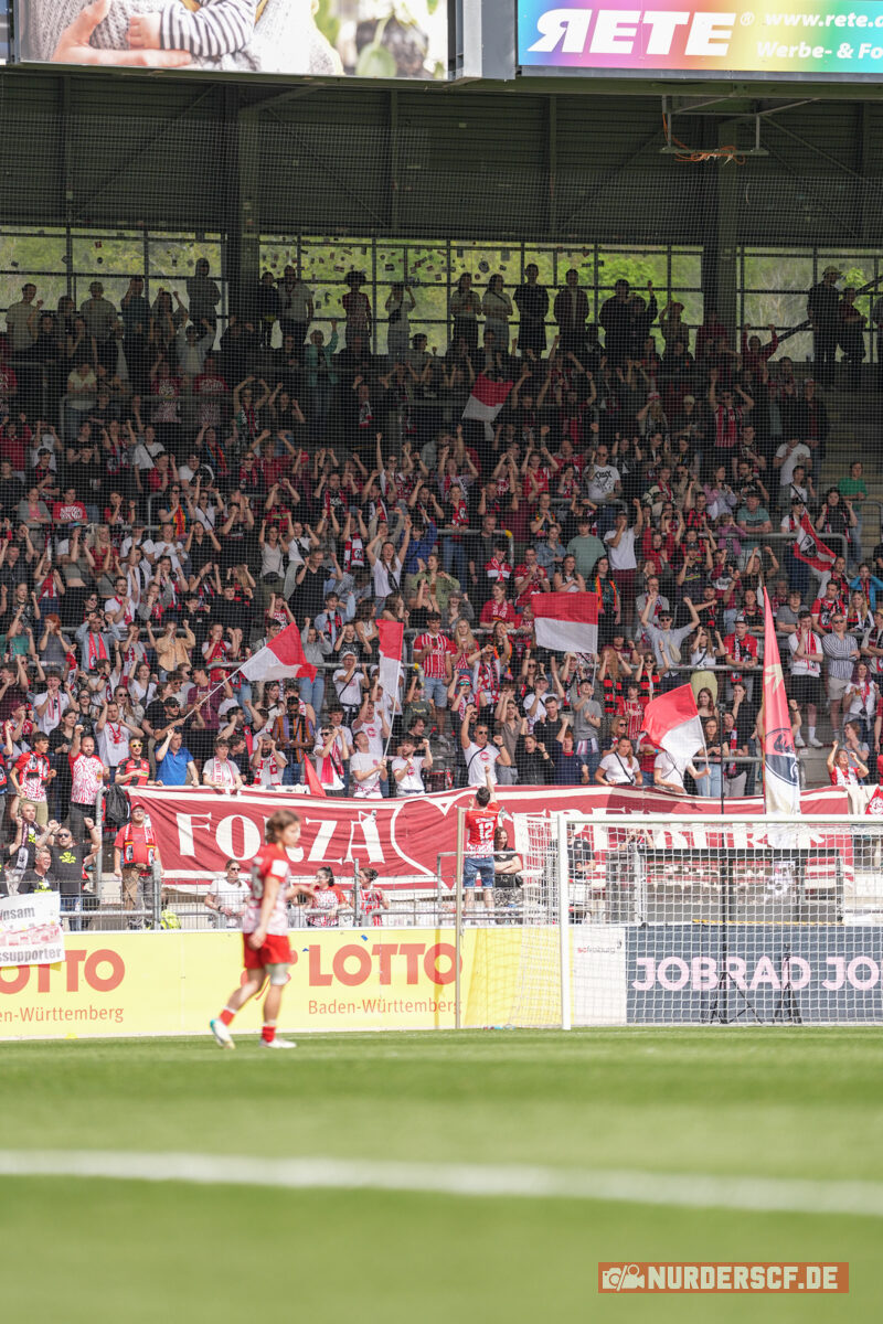 SC Freiburg Frauen – VfL Wolfsburg Frauen 1-4 (3)
