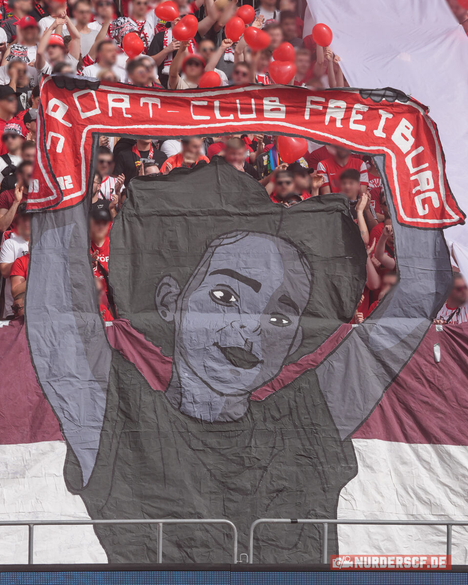 SV Darmstadt 98 – SC Freiburg 0-1 (28)